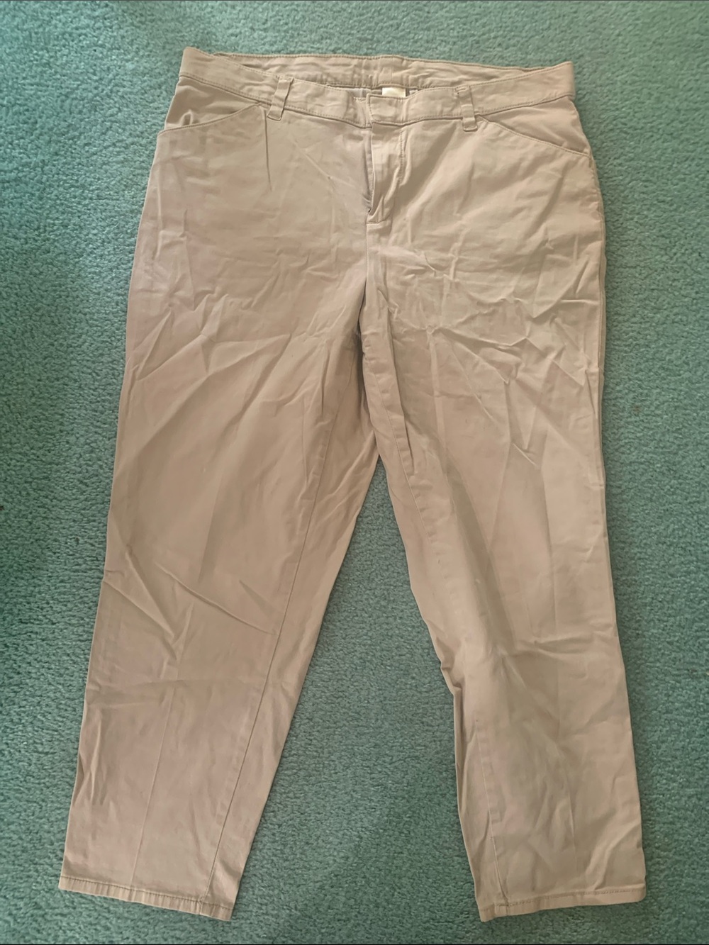 Terra & Sky Cropped Khakis 16W
